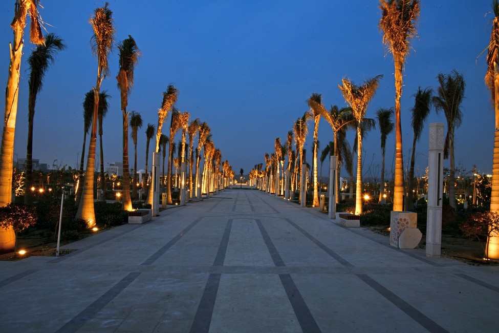طريق سريع